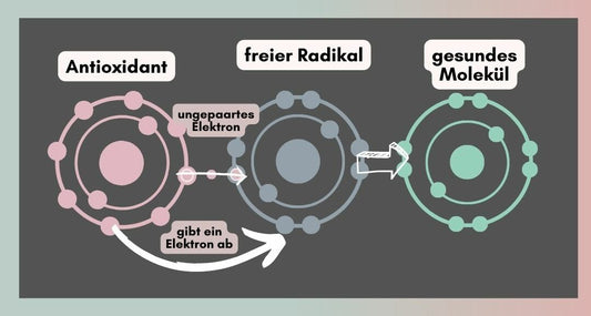 Antioxidantien in der Hautpflege