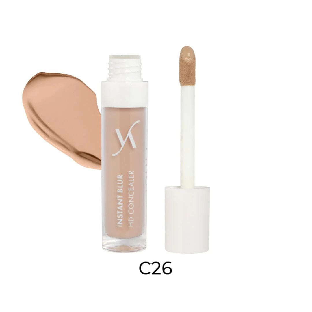 Vani-T Concealer Instant Blur HD
