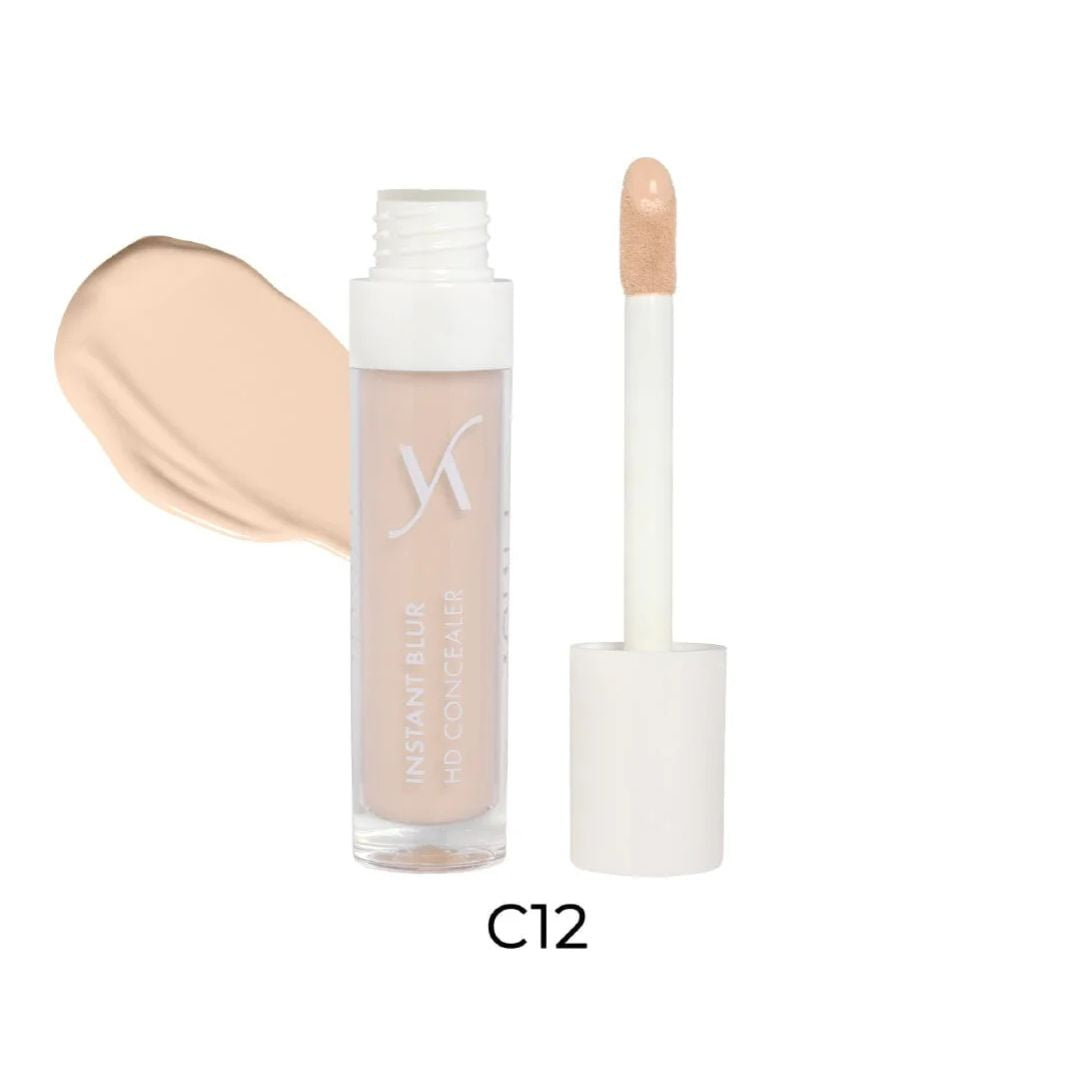 Vani-T Concealer Instant Blur HD