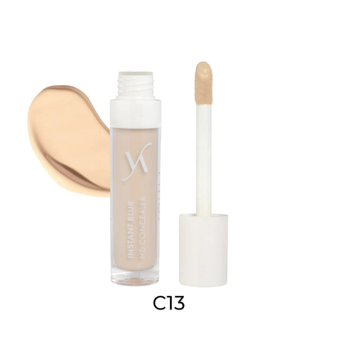Vani-T Concealer Instant Blur HD